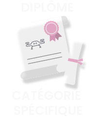 spef-prov icone diplome spécifique